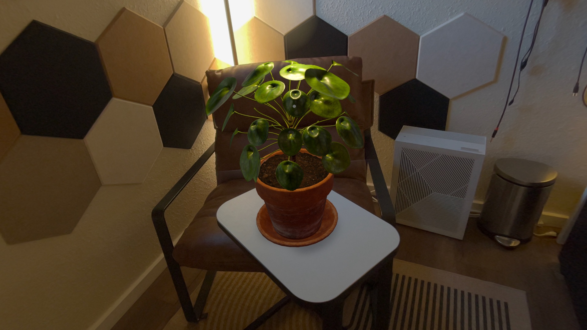 Plantelier plant illuminated by a warm sunlight effect in a real room